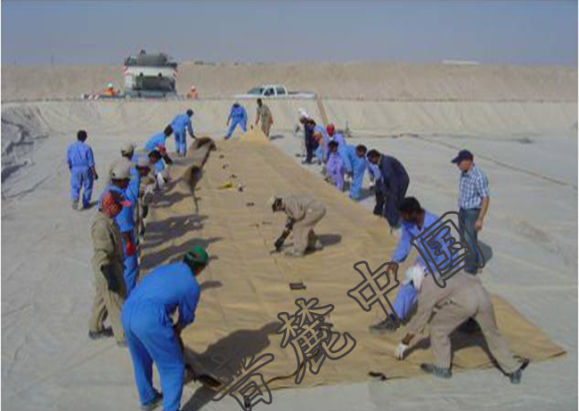 儲(chǔ)油囊施工案例